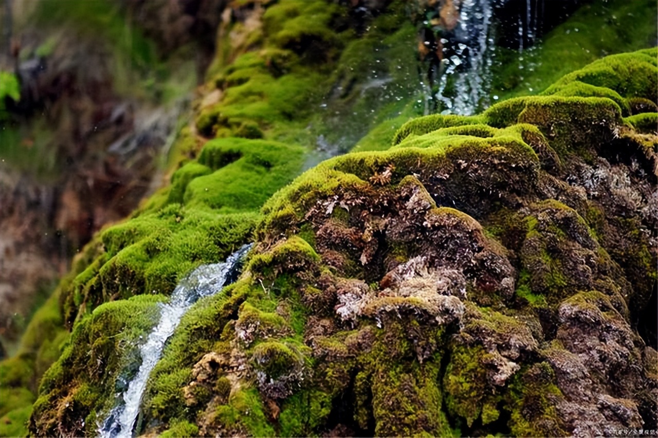 销售励志早安心语正能量句子,早安心语正能量励志视频