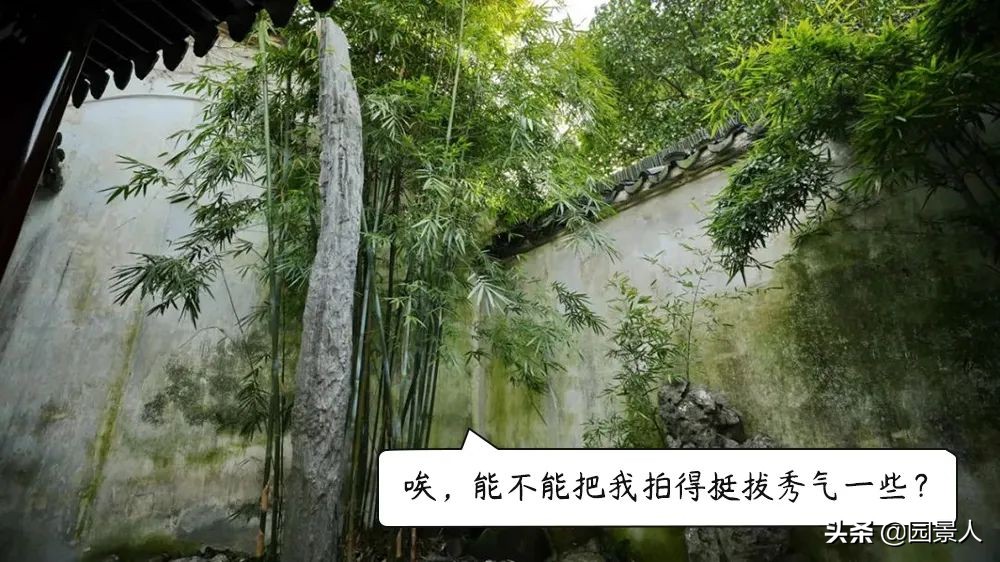 留园江南奇石特点,留园中园的奇石