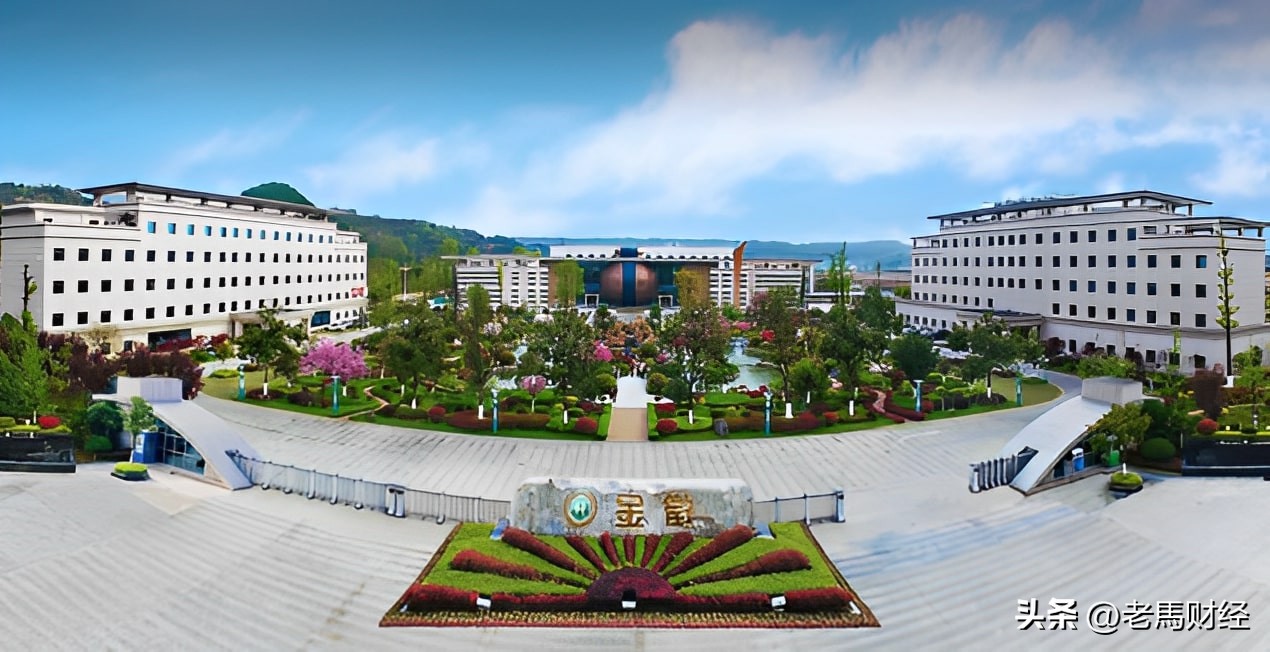 甘肃省陇南市徽县富豪排名,甘肃陇南最有钱的10大富豪