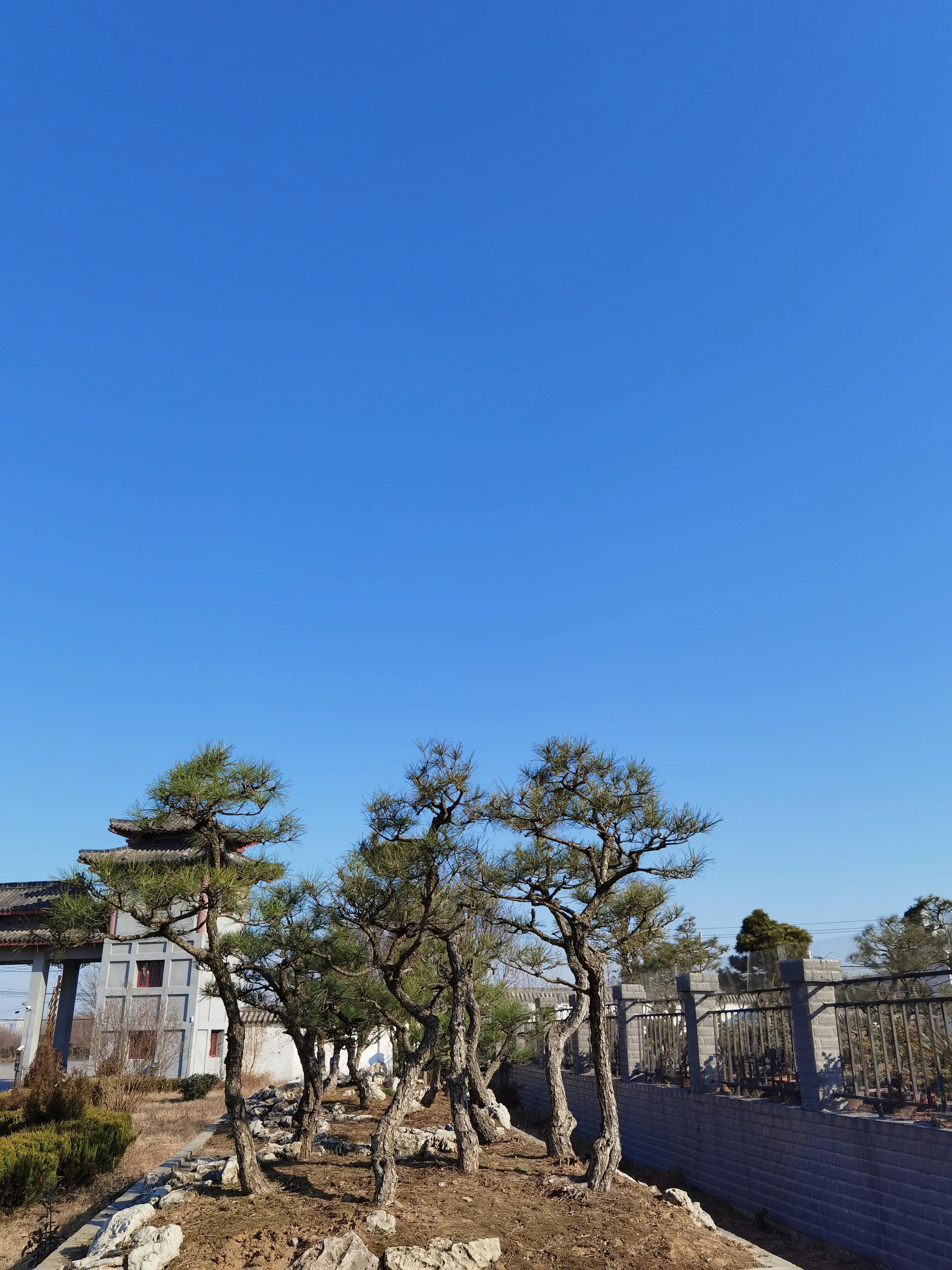 给自己的人生赋予意义,做任何事都要赋予意义