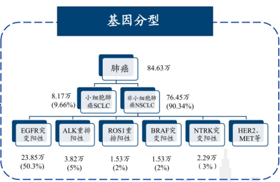 美国最新治疗肺癌特效药,治疗癌症需要的工具