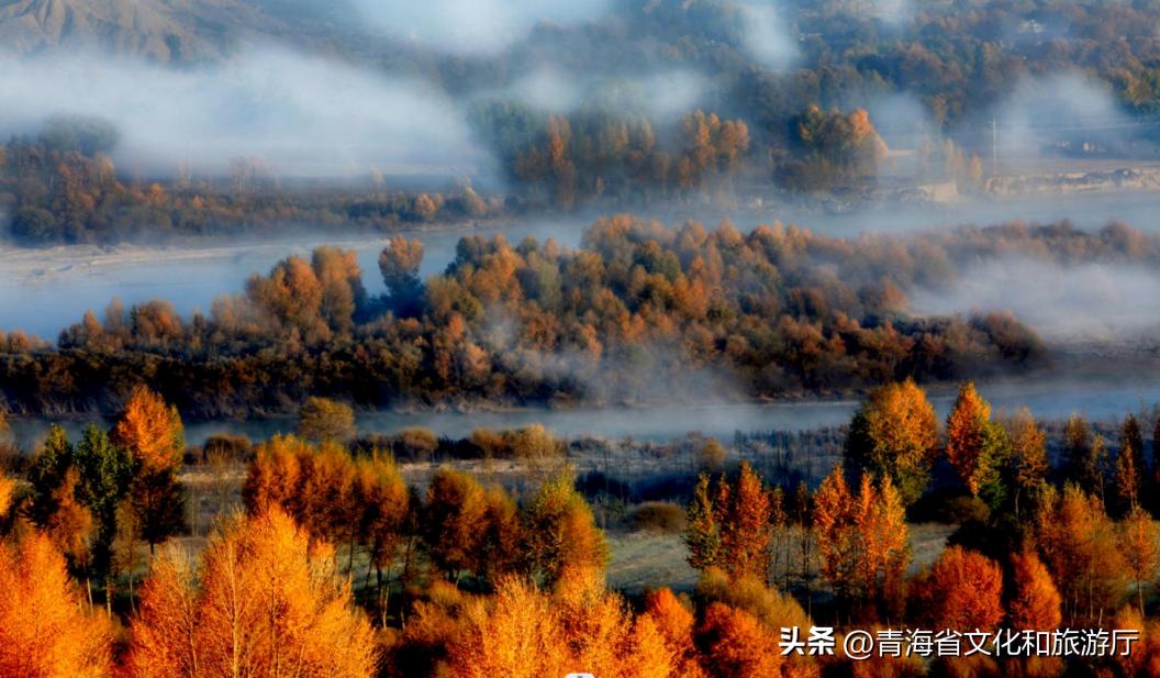秋分至一叶落平分秋色什么意思,今日秋分秋高气爽不负人间好时光