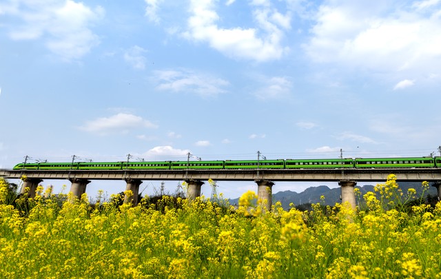 我眼里的交通安全,交通的发展是城市变迁的缩影