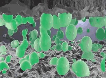 燃油宝真的可以有效去除积碳吗,燃油宝真能除积碳吗