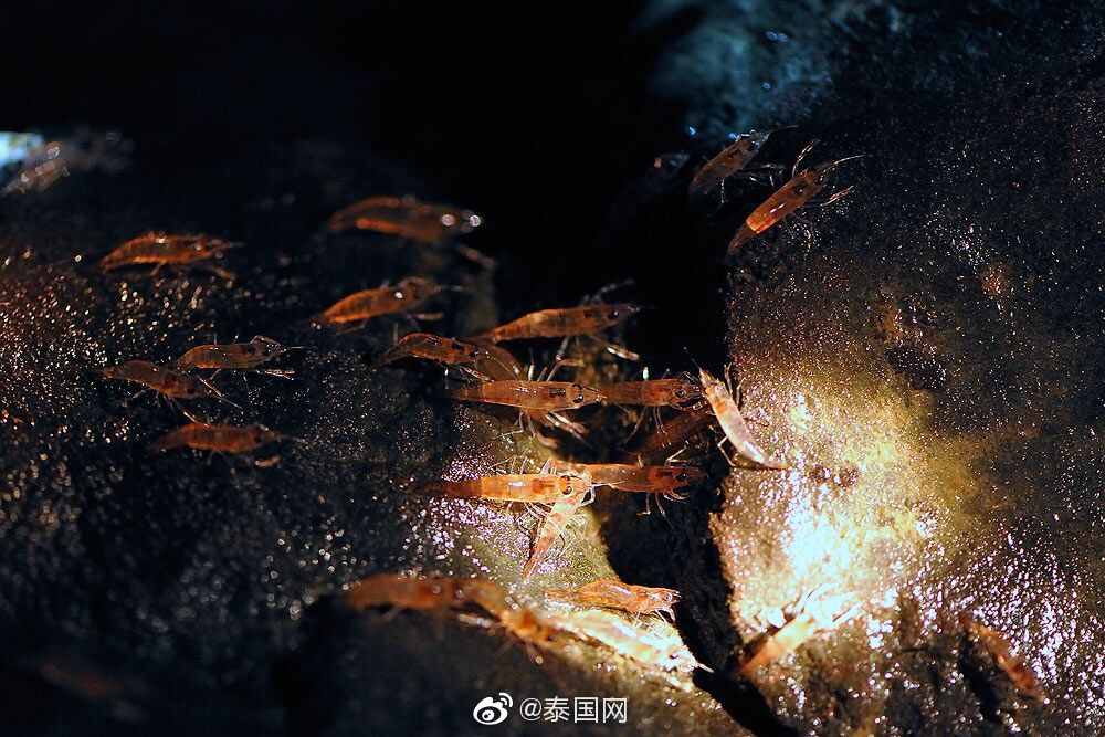 泰国乌汶府的各个区,泰国最北部清莱府