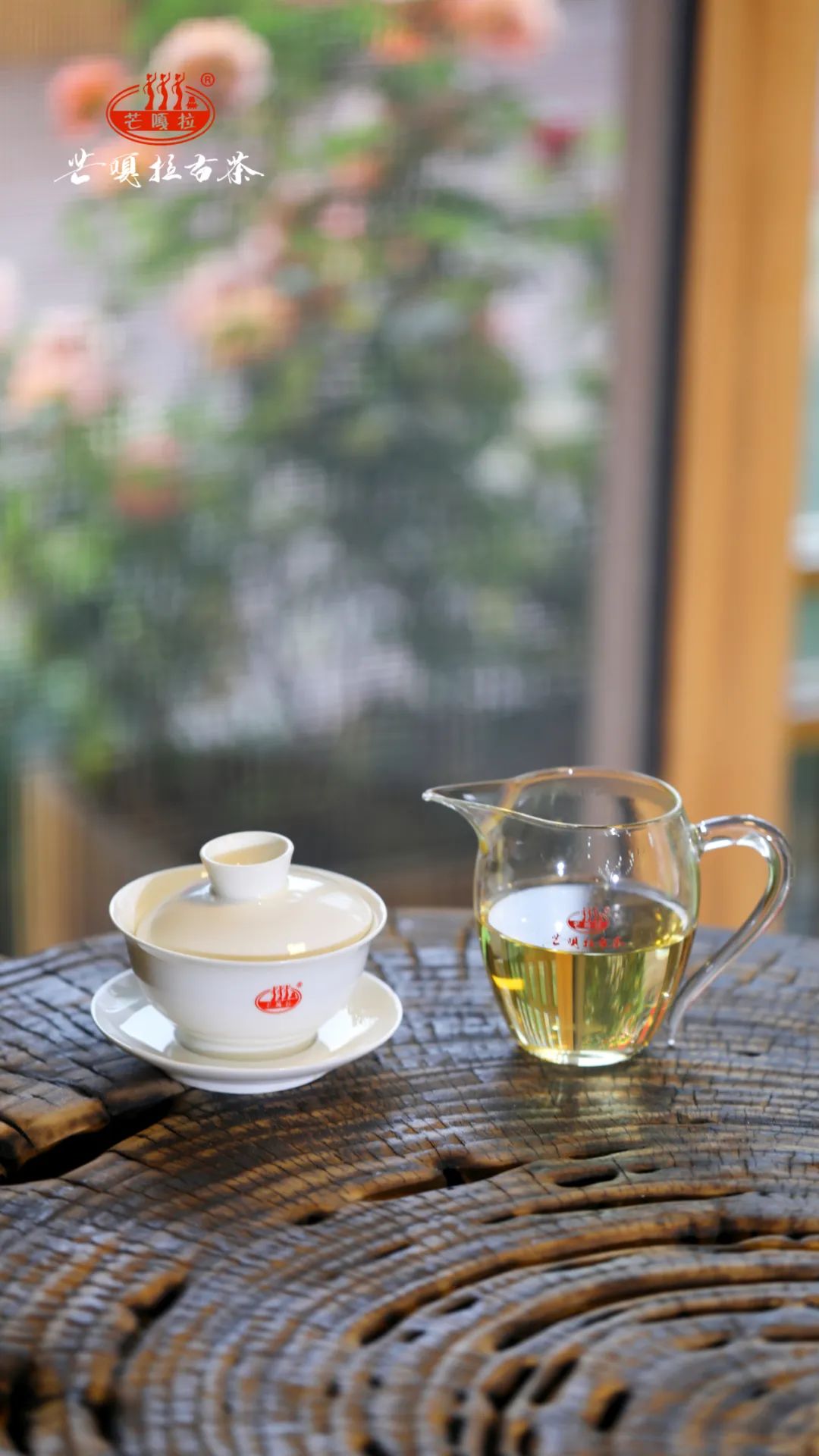 古树春茶什么味道好喝,舌尖上的春茶有哪些