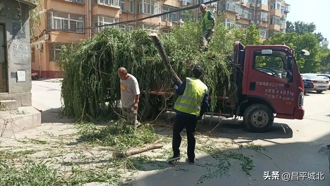着力提升三种能力,三个能力提升行动问题整改台账