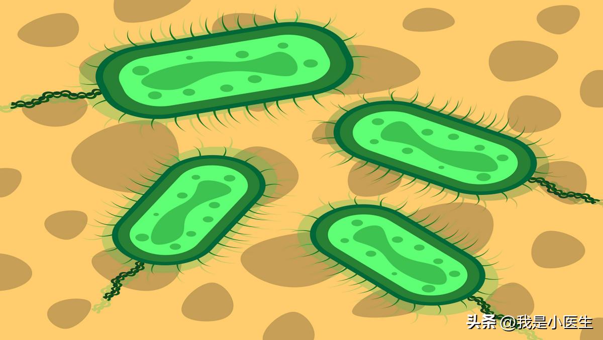 淋病怎样检查才能确定是淋病,怀疑得了淋病可以吃什么药