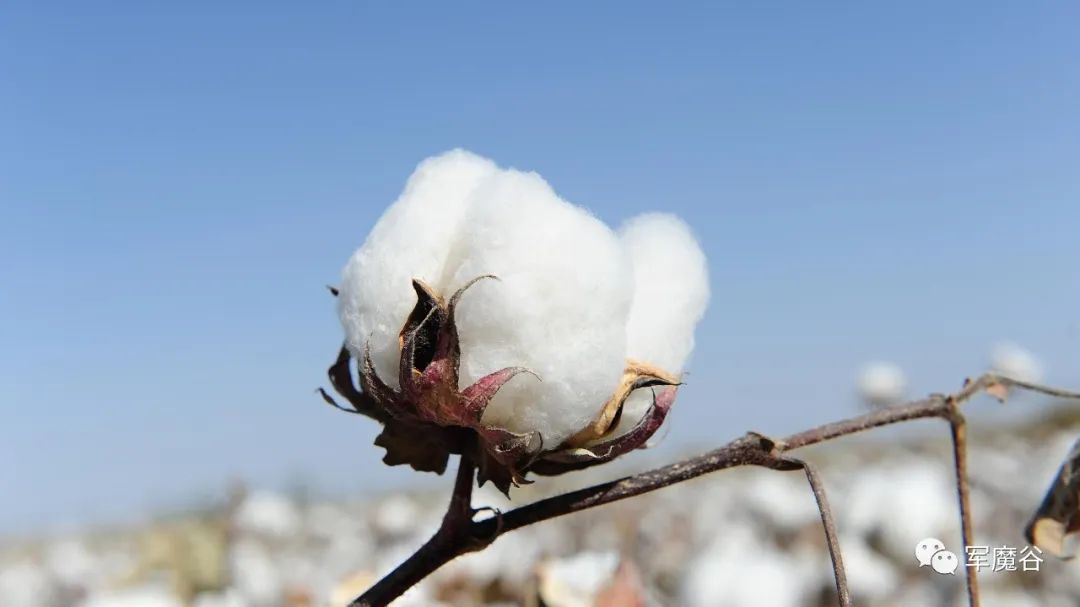 七十年前的那场战争激烈视频,70年代中英大战历史