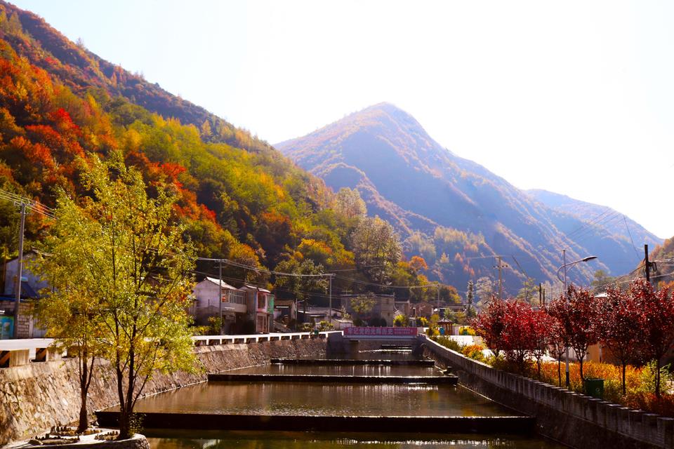 天然氧吧养生避暑,洗肺养心醒脑的天然大氧吧