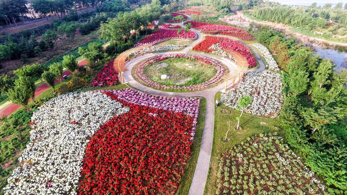 山东财政2020年1季度收入排名,山东财政收入前10名