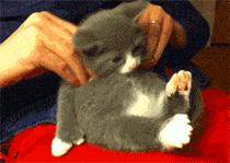 一不留神，按摩器就变“电棒”！