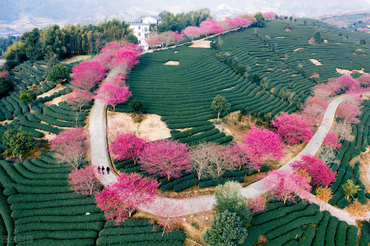 二月，适合去旅行的十个地方