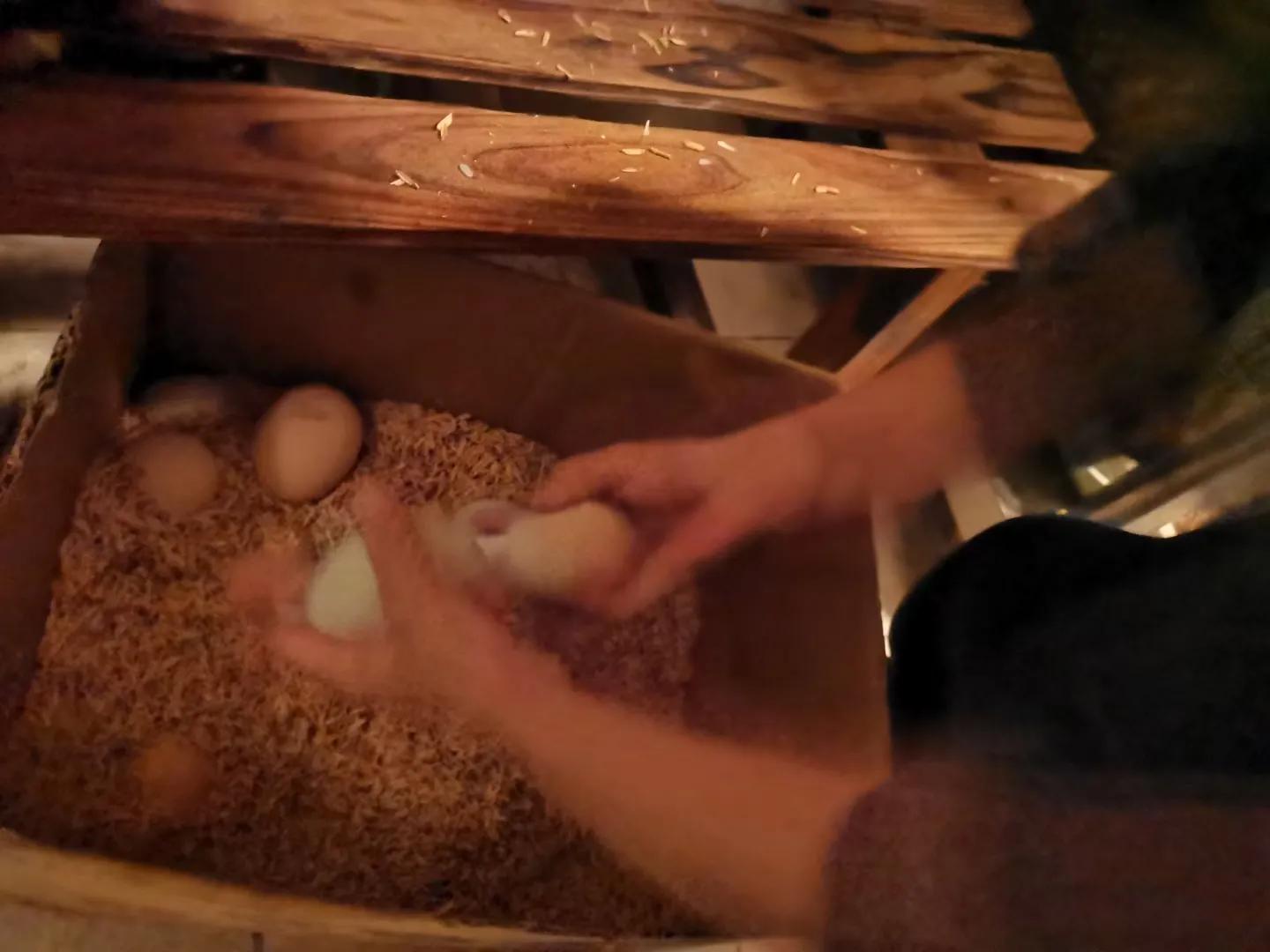 DD成长启示录（九）提高孩子的理解力并不是难事