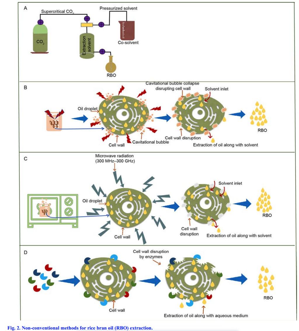 米糠营养价值研究,农业技术益处