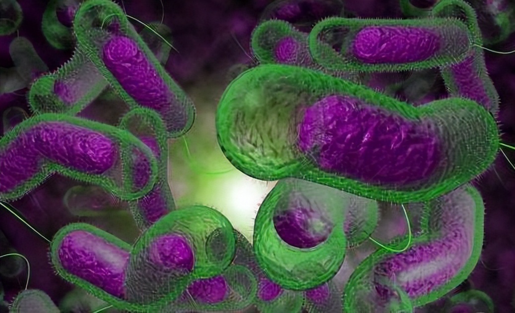 肛周脓肿用拔毒生肌散,肛周脓肿中医方剂