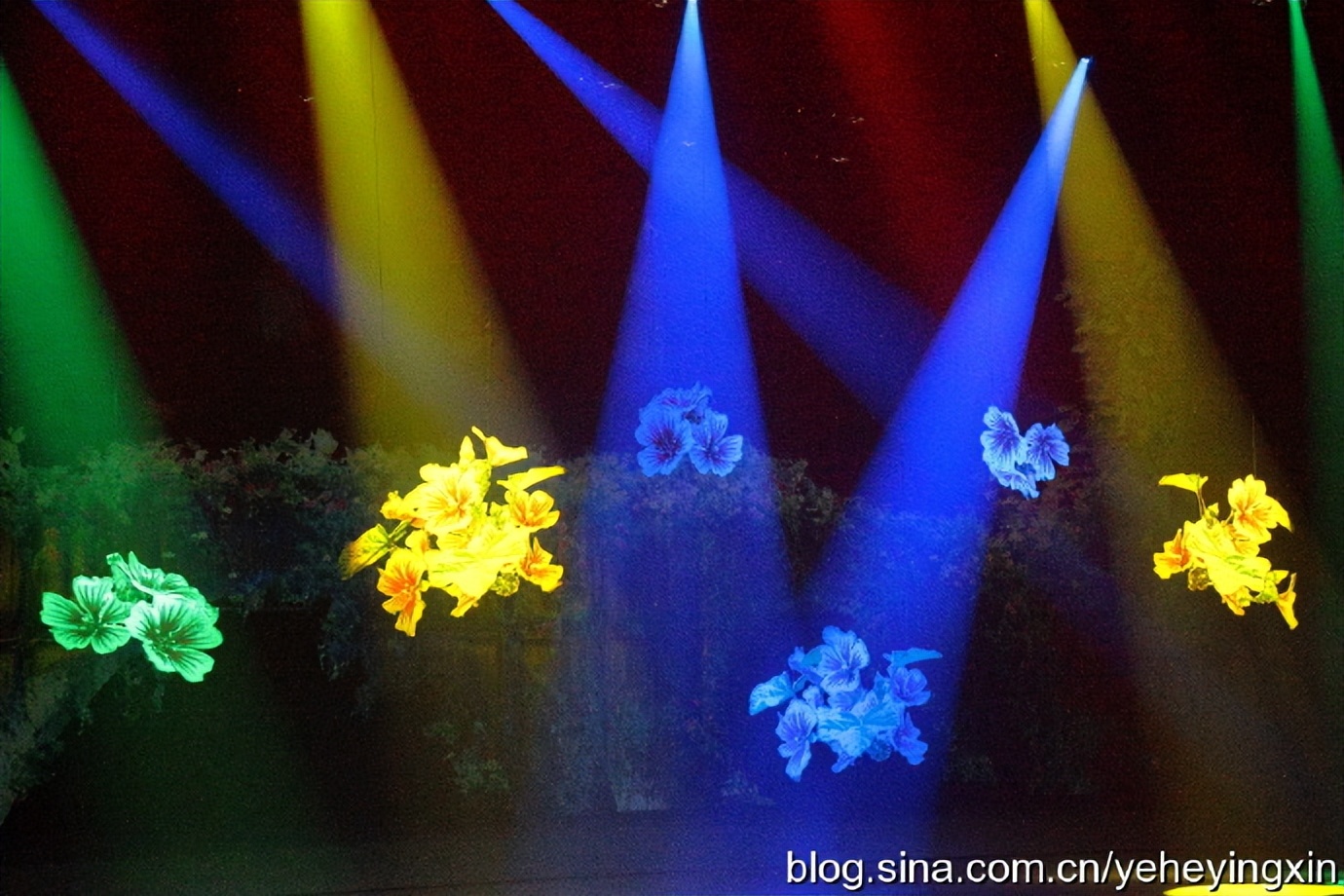 丽江丽水金沙表演好看吗,丽水金沙民族歌舞表演