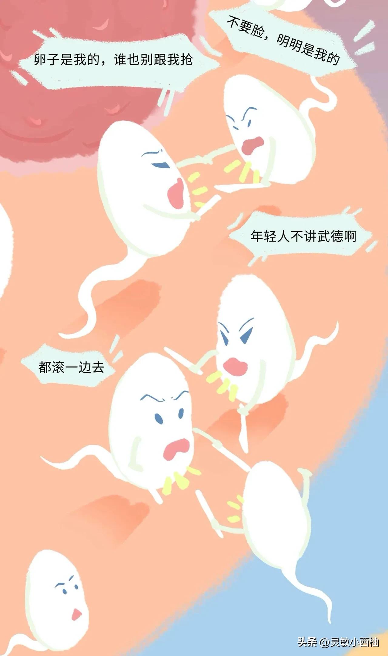 这就是精子进入女性体内的全过程，太神奇了！（漫画）