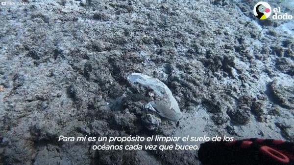 用头发可以清理石油爆上热搜!秃头网友狂喜:哈哈天生我材必有用