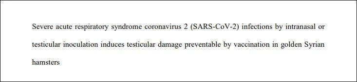 新冠损害男性生殖功能,新冠确诊病例男士后遗症