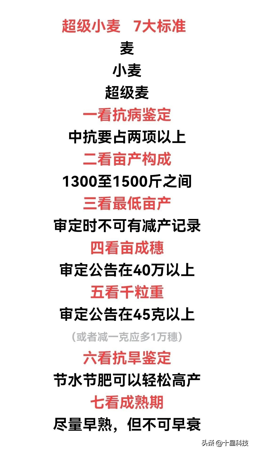 买小麦种子千万注意看清包装,买小麦种子千万不要碰这五个坑