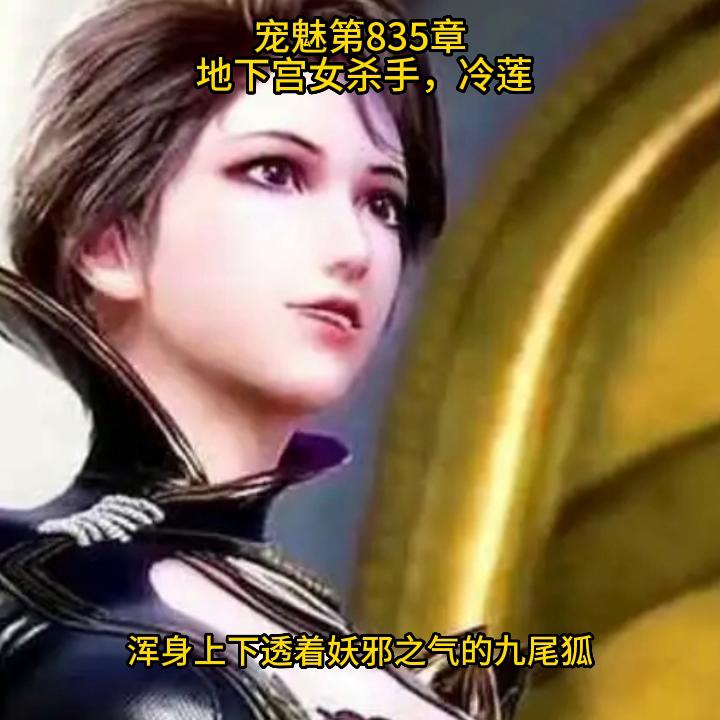 宠魅宠魅这本小说的介绍,小说宠魅