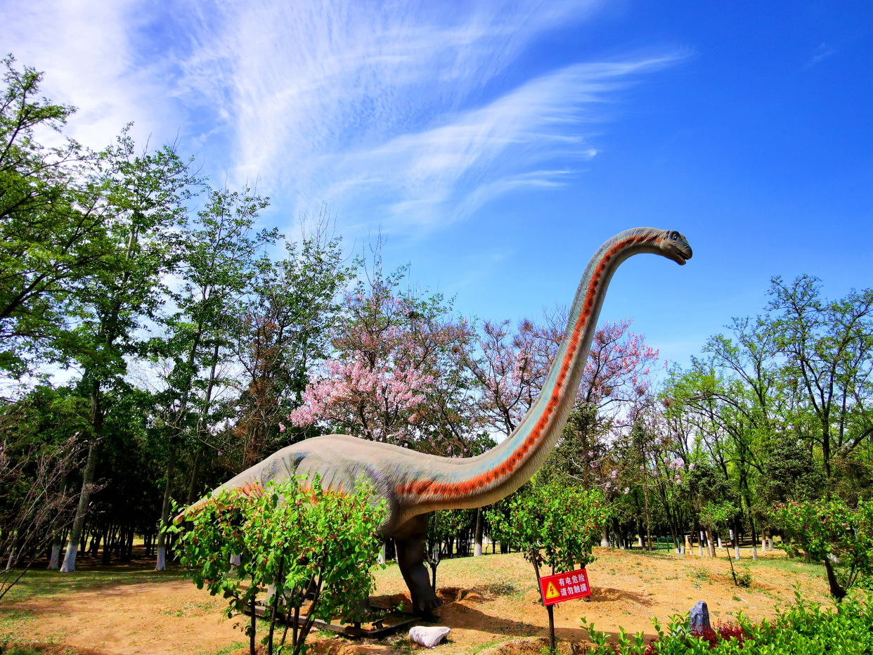 青龙湖公园网红打卡,丰台王佐青龙湖公园门票