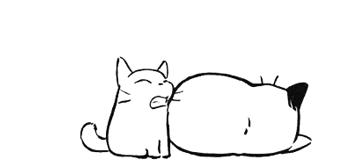 好听的网名昵称杂系,小众杂系网名