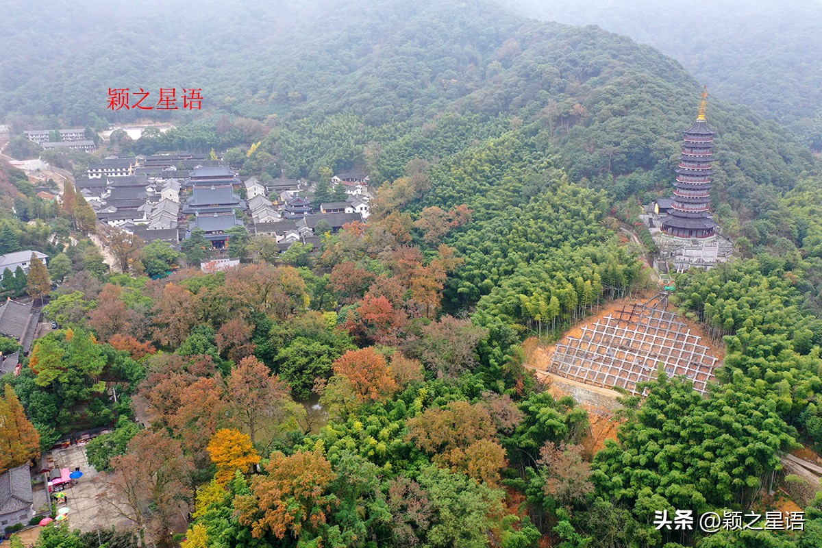 绝美千年银杏,中国最大的银杏景区