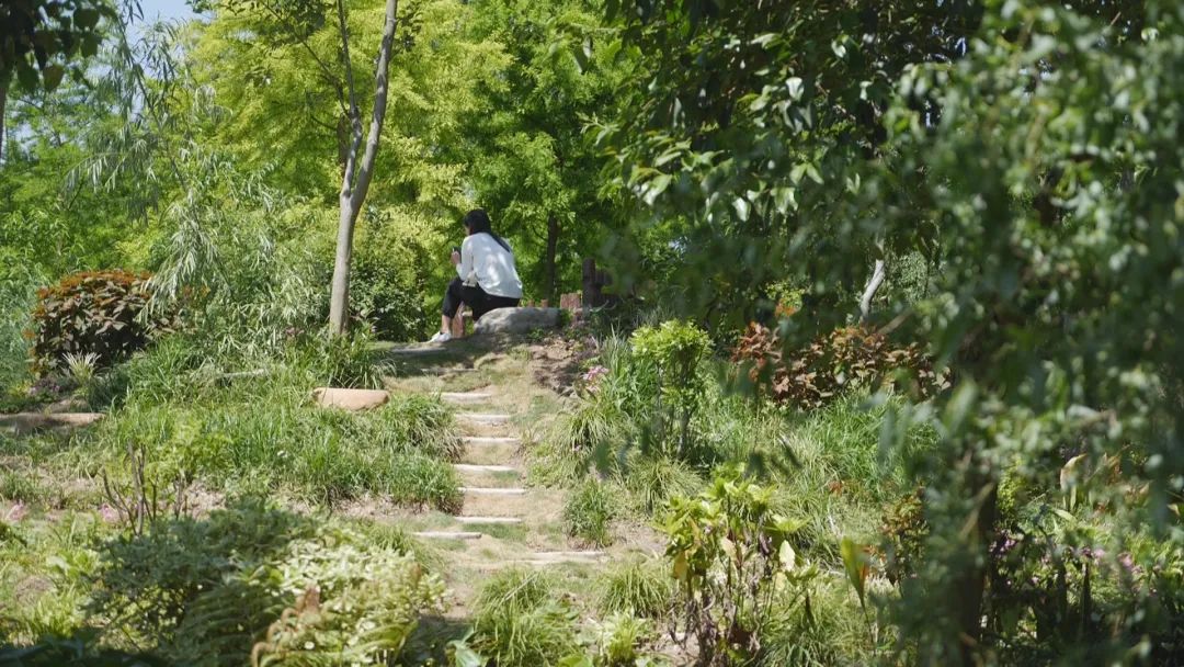 合庆郊野公园游玩攻略,合庆郊野公园二期