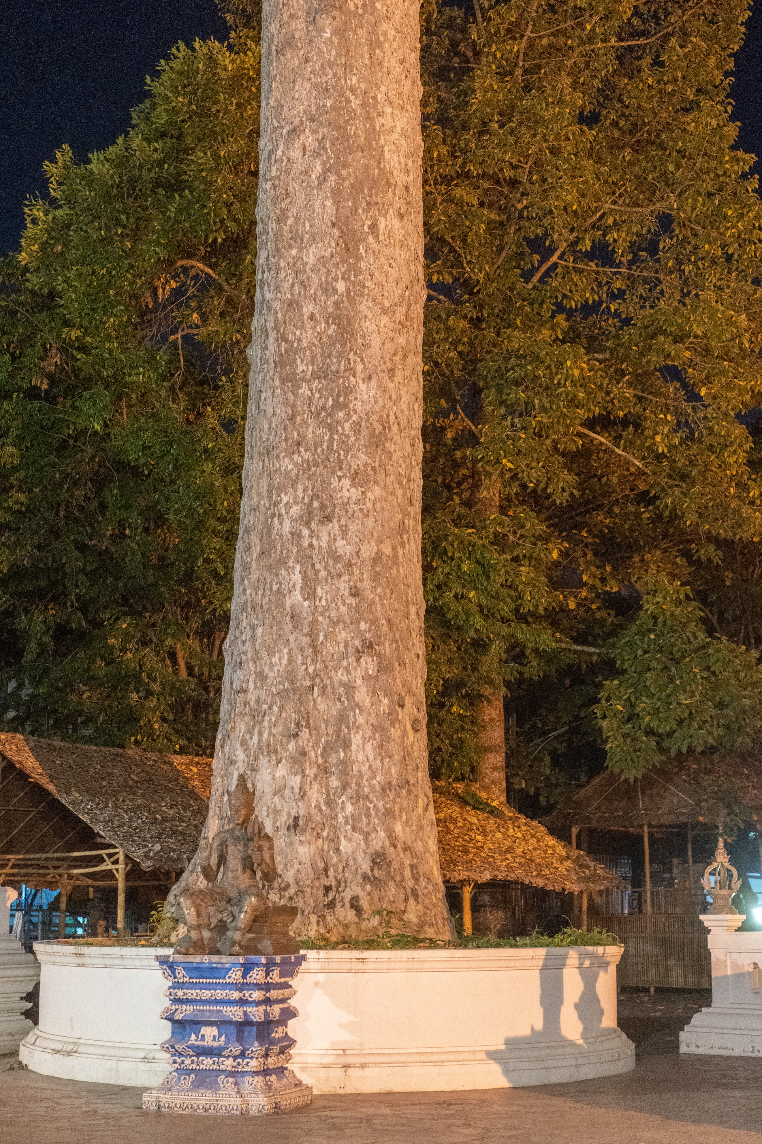 为什么男人都想去泰国,为什么很多女人都喜欢去泰国