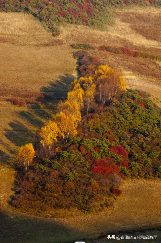 秋分至一叶落平分秋色什么意思,今日秋分秋高气爽不负人间好时光