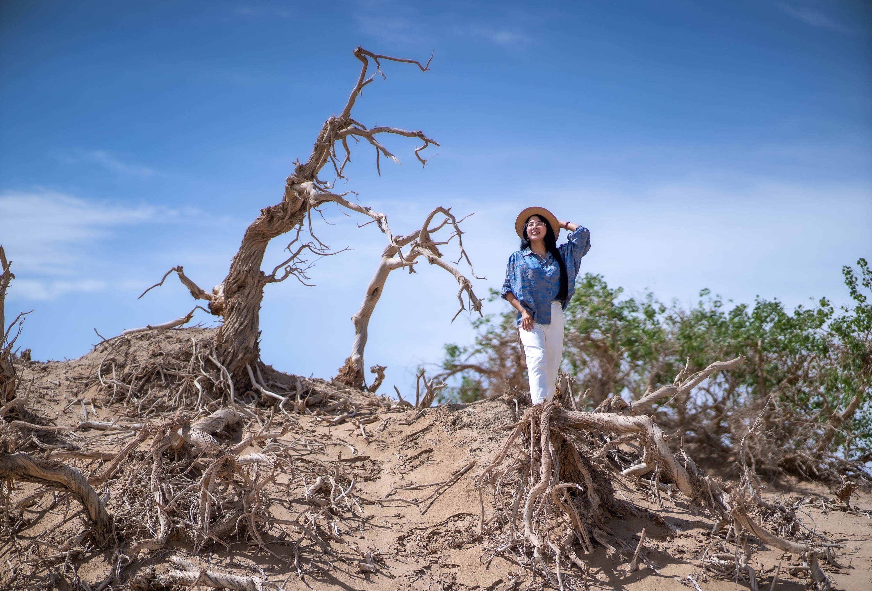 实拍格尔木胡杨林，海拔2800米，连绵1700亩，苍凉辽阔，拍照超酷