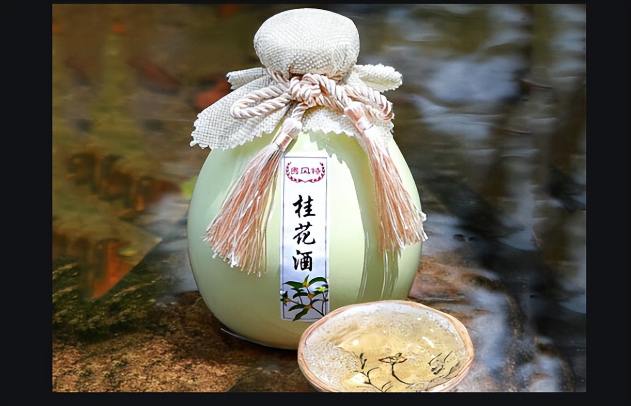 纵论古今全文免费阅读,十大最好喝的养生酒