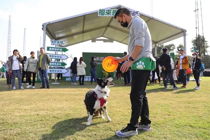狗巴迪勇士赛程,狗巴迪勇士赛是赛级犬吗