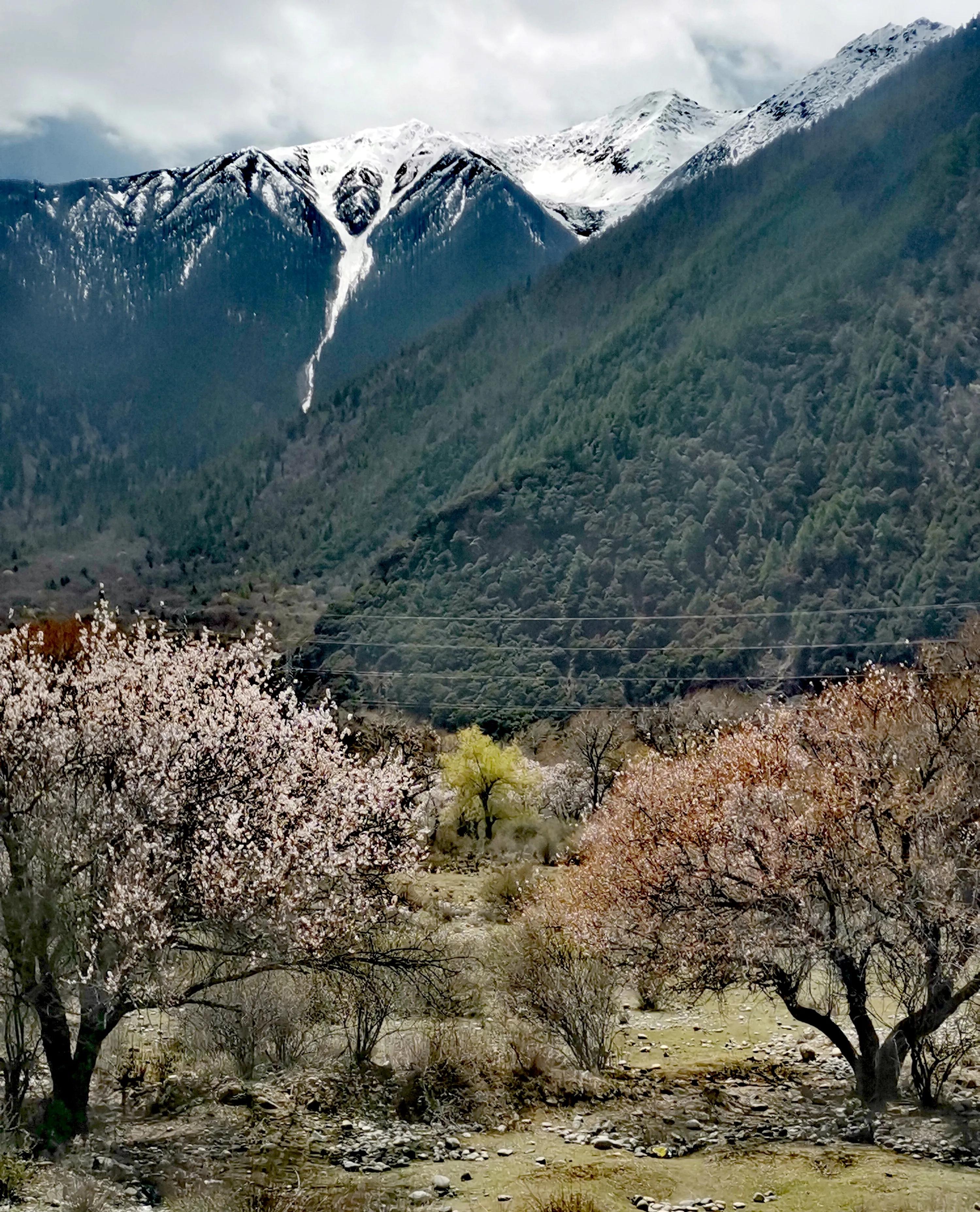 旅游那些事脱口秀,旅游那些事