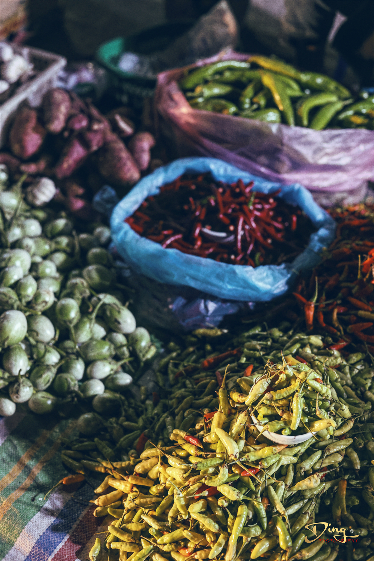 老挝之旅带你了解真实的老挝,去老挝攻略最新