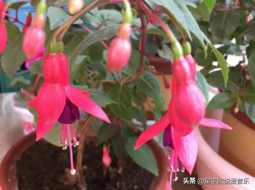 分享惊艳的图片,分享美景的图片卡点