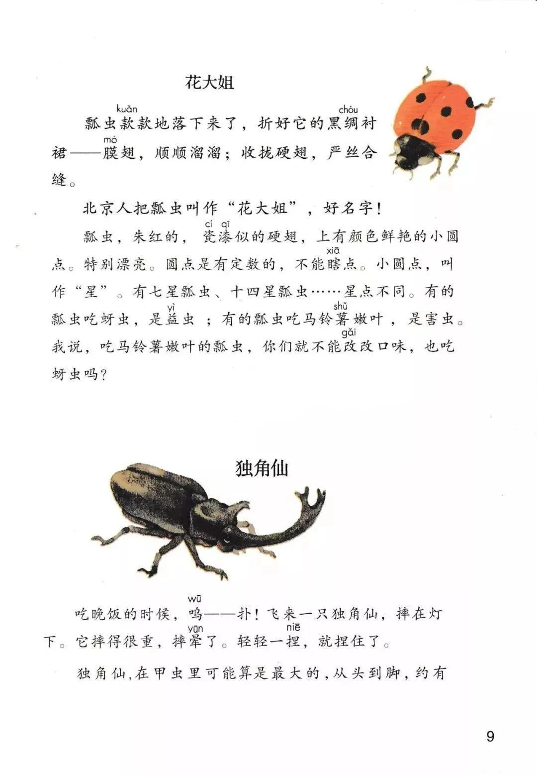 人教版小学语文三年级下册课本（电子版）寒假预习，快收藏