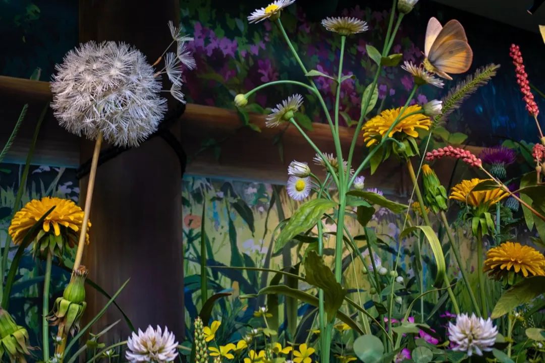 宫崎骏真的退休了吗,宫崎骏退休