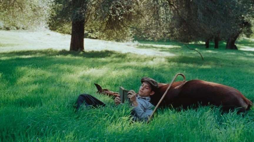 《奔腾年代》的主角如何通过努力和梦想,实现个人成长与奋斗