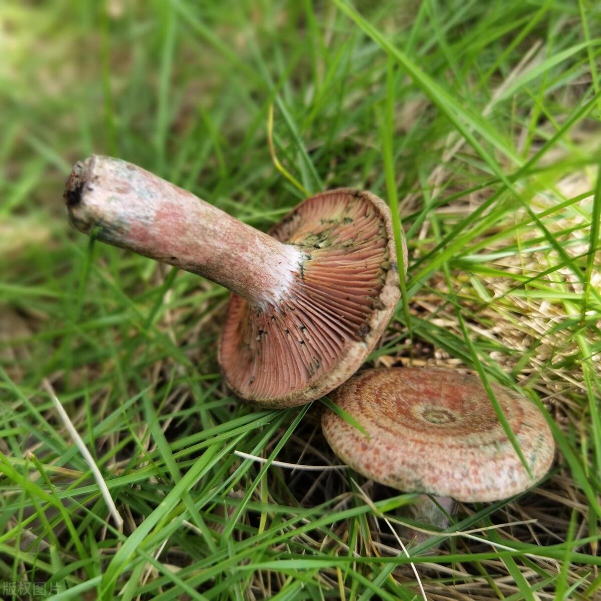 15岁辍学怎样赚到3000万,15岁辍学做什么可以挣到钱