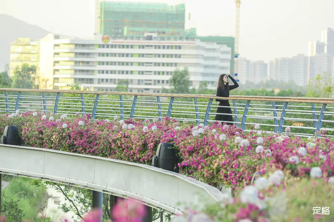 深圳户外公园最大滑滑梯,深圳滑滑梯免费南山公园附近