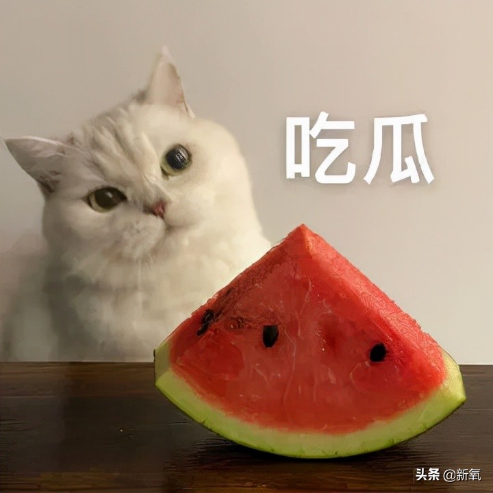 外媒评十大最帅面孔,2024年全球公认最帅面孔