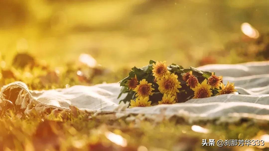 祝福表妹新婚发圈文案,给同事的新婚祝福文案