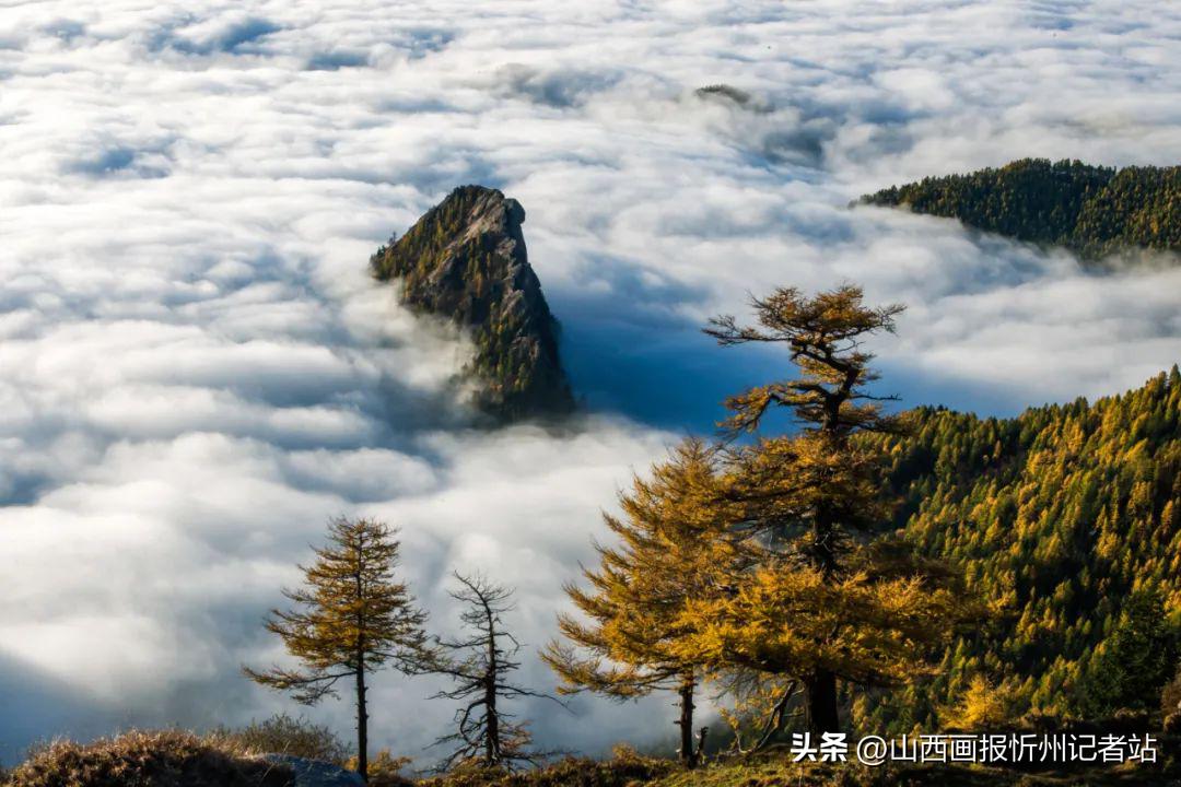 山西忻州属于哪个市,你不知道的山西忻州