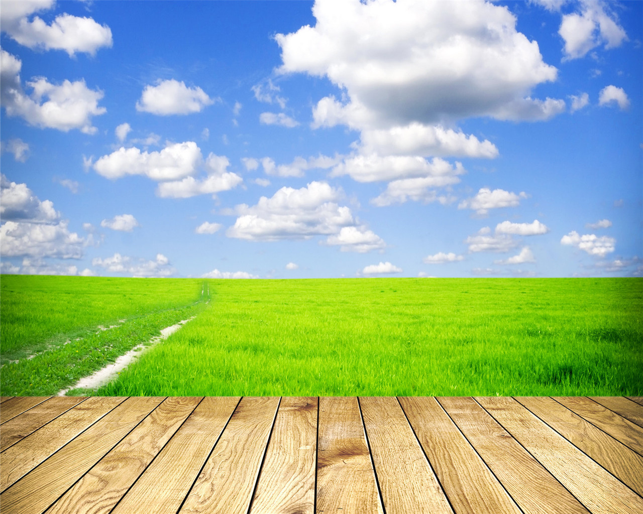 50张顶级绿色绝美壁纸,100张惊艳全屏壁纸风景