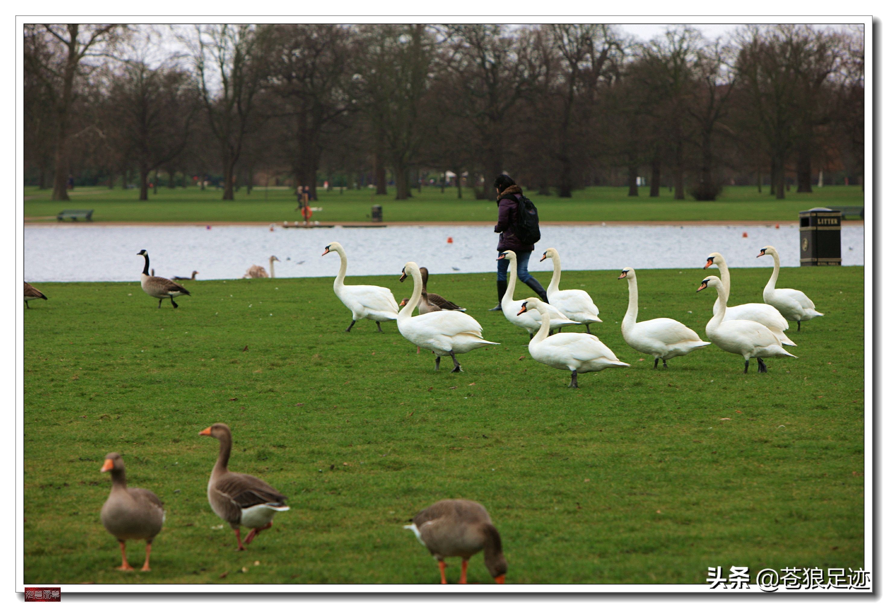 英国海德公园全景,英国皇家园林海德公园