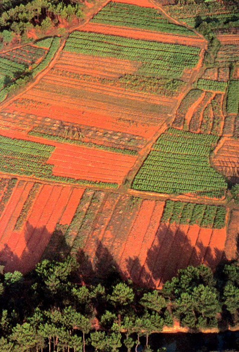 合肥和石家庄哪个城市比较好,合肥最有潜力的省会