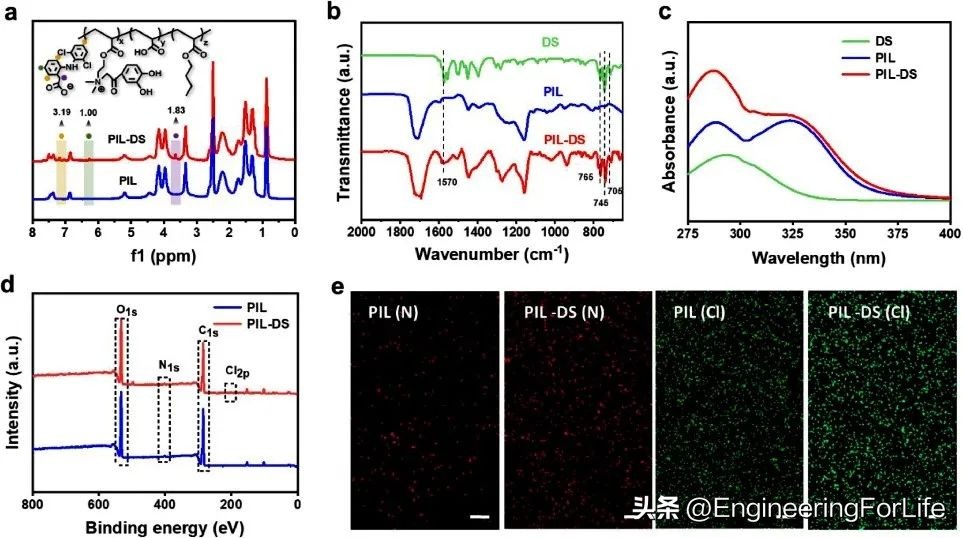 《ActaBiomaterialia》苏州大学：聚离子液体贴片，贴口腔溃疡!